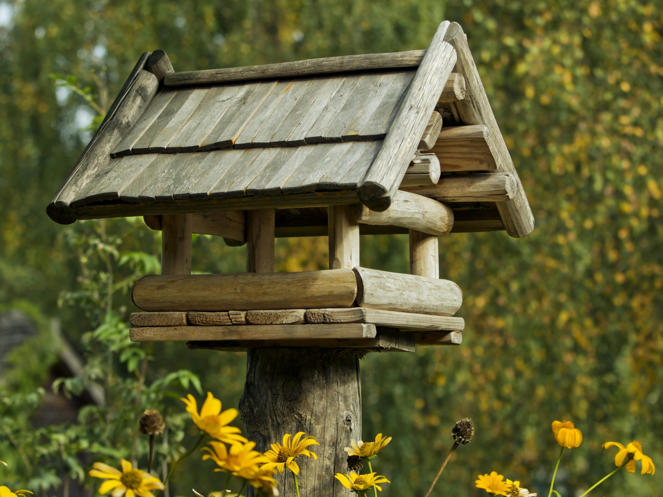 Zdjęcie do artykułu: Podlasie – dzika natura, sielskie krajobrazy i absolutny spokój